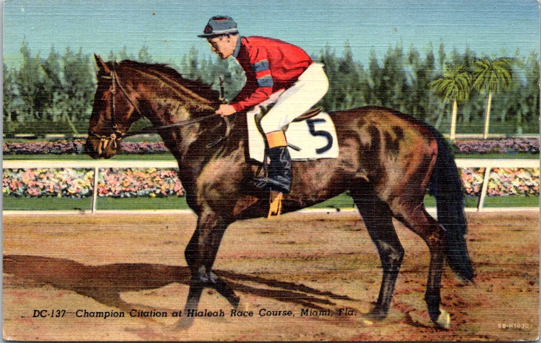 Vintage Postcard Champion Citation Hialeah Park Miami United States Unposted