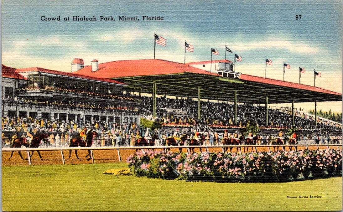 Vintage Postcard Crowd At The Hialeah Park Miami Florida United States Unposted