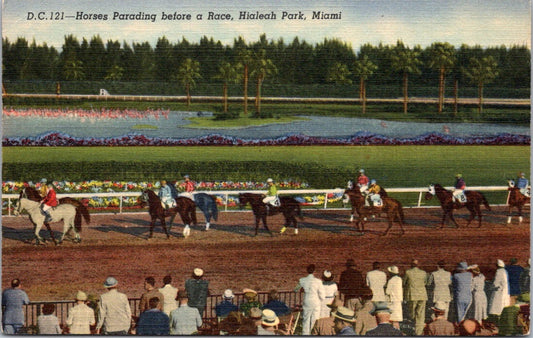 Vintage Postcard Horses Parading Before A Race Hialeah Park Miami United States