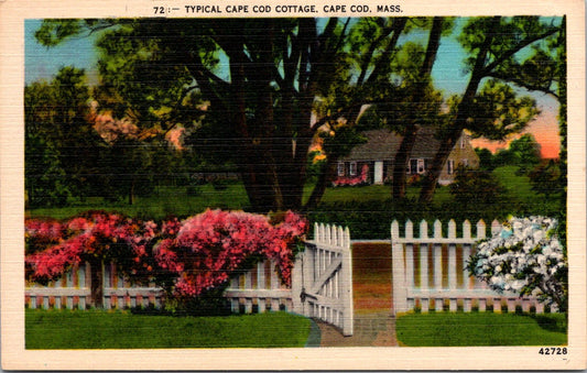 Vintage Postcard Typical Cape COD Cottage Massachussets United States Unposted