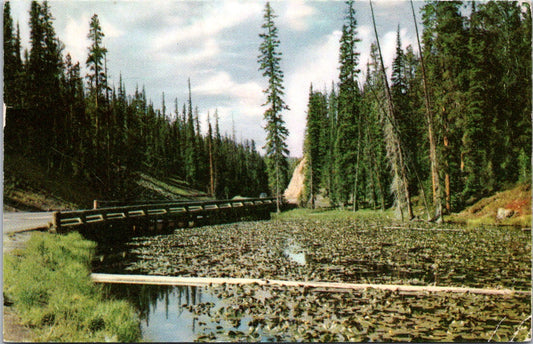 Vintage Postcard Isa Lake Yellowstone National Park Wyoming United States Posted