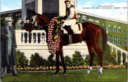 Vintage Postcard Gallahadion Winner Of 1940 Kentucky Derby United States