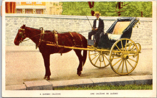 Vintage Postcard A Quebec Caleche Carriage Ride Service Canada Unposted