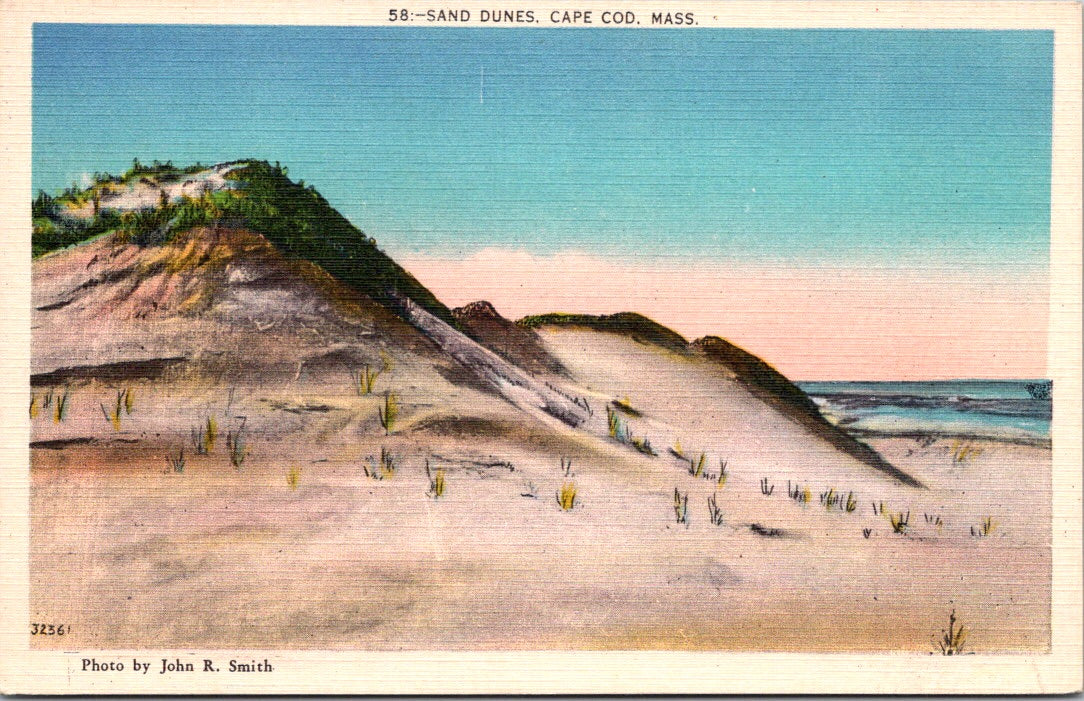 Vintage Postcard Sand Dunes Cape COD Massachusetts United States Unposted