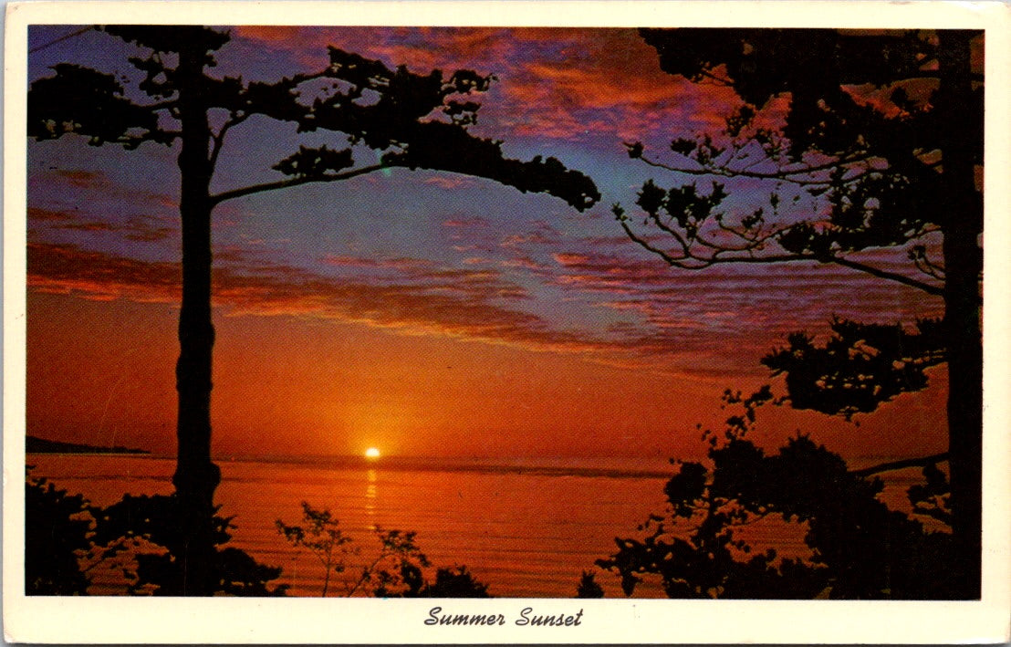 Vintage Postcard Photo Of The Summer Sunset Unposted