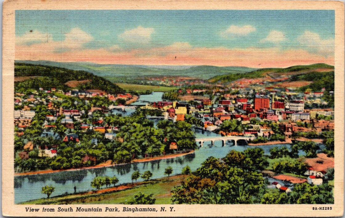 Vintage Postcard View From South Mountain Park Binghamton New York Posted