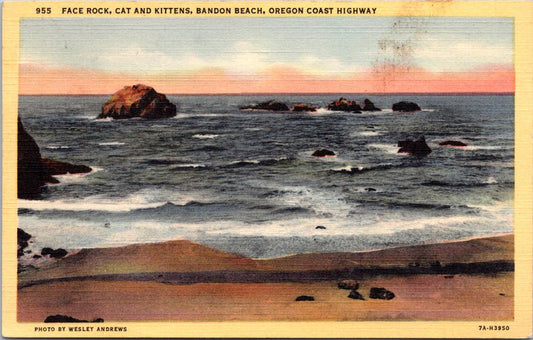 Vintage Postcard Face Rock Cats And Kittens Bandon Beach Oregon Coast Highway