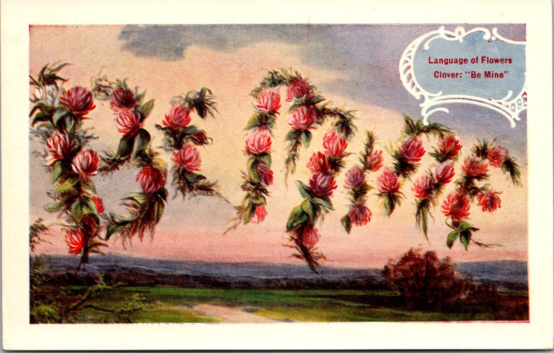 Vintage Postcard Language Of Flowers Clover Be Mine Unposted