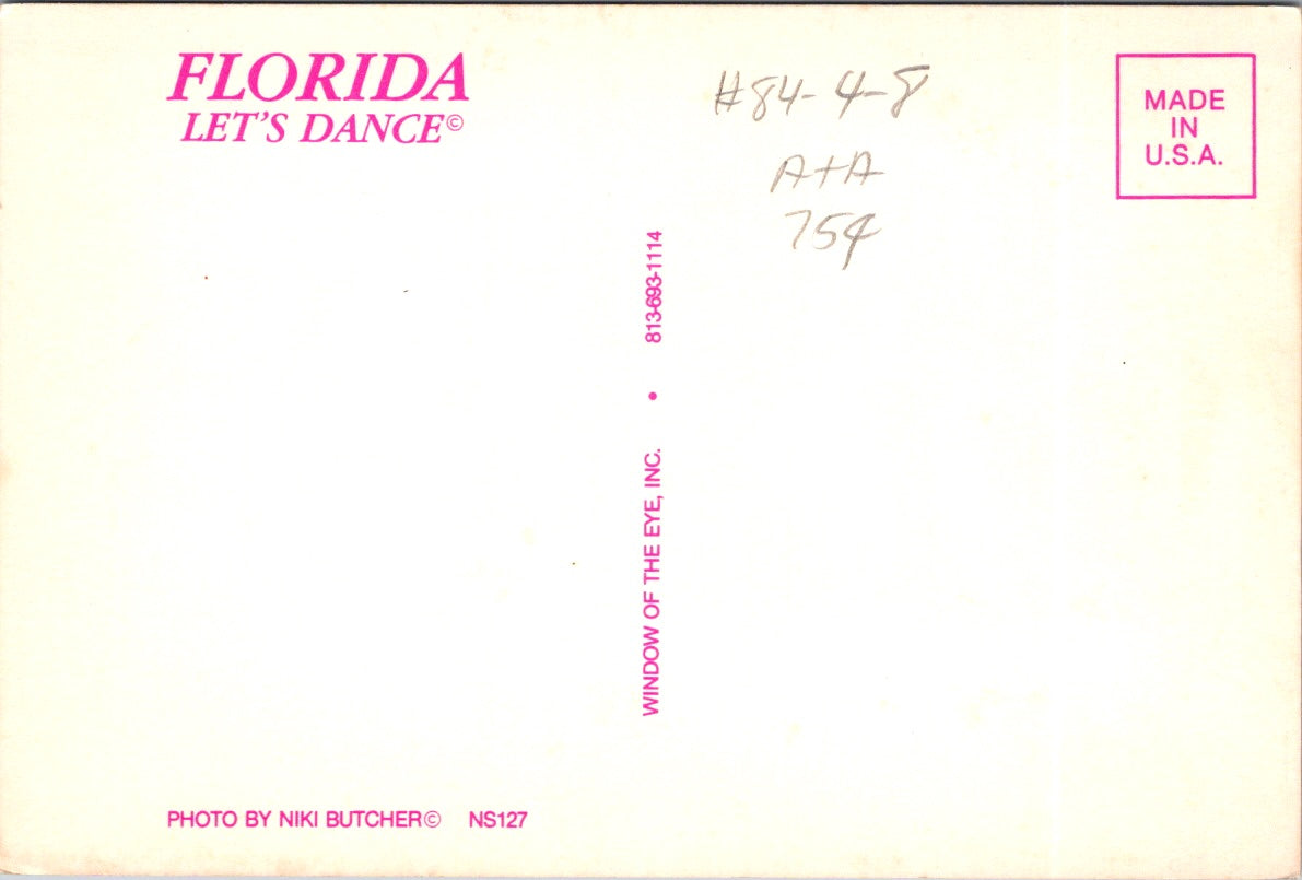 Vintage Postcard Florida Let's Dance United States Unposted