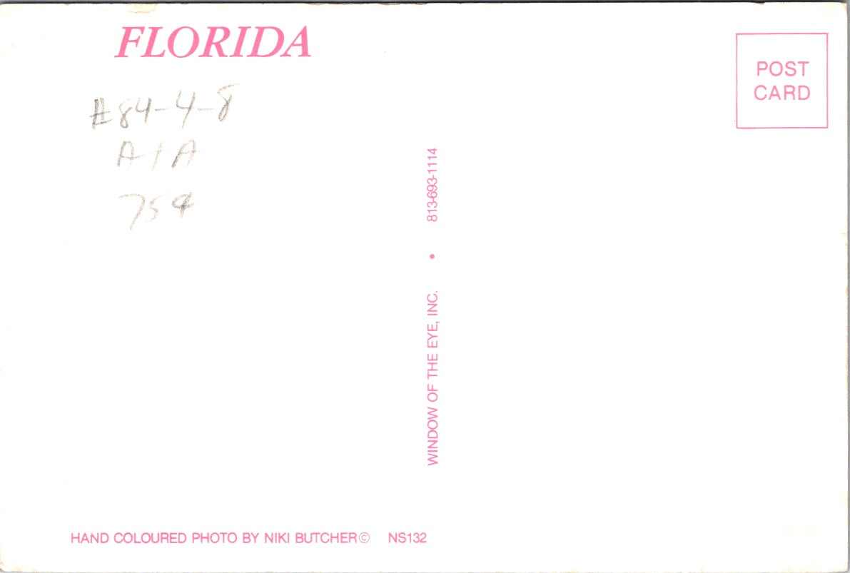 Vintage Postcard Beautiful Sky Of Florida United States Unposted