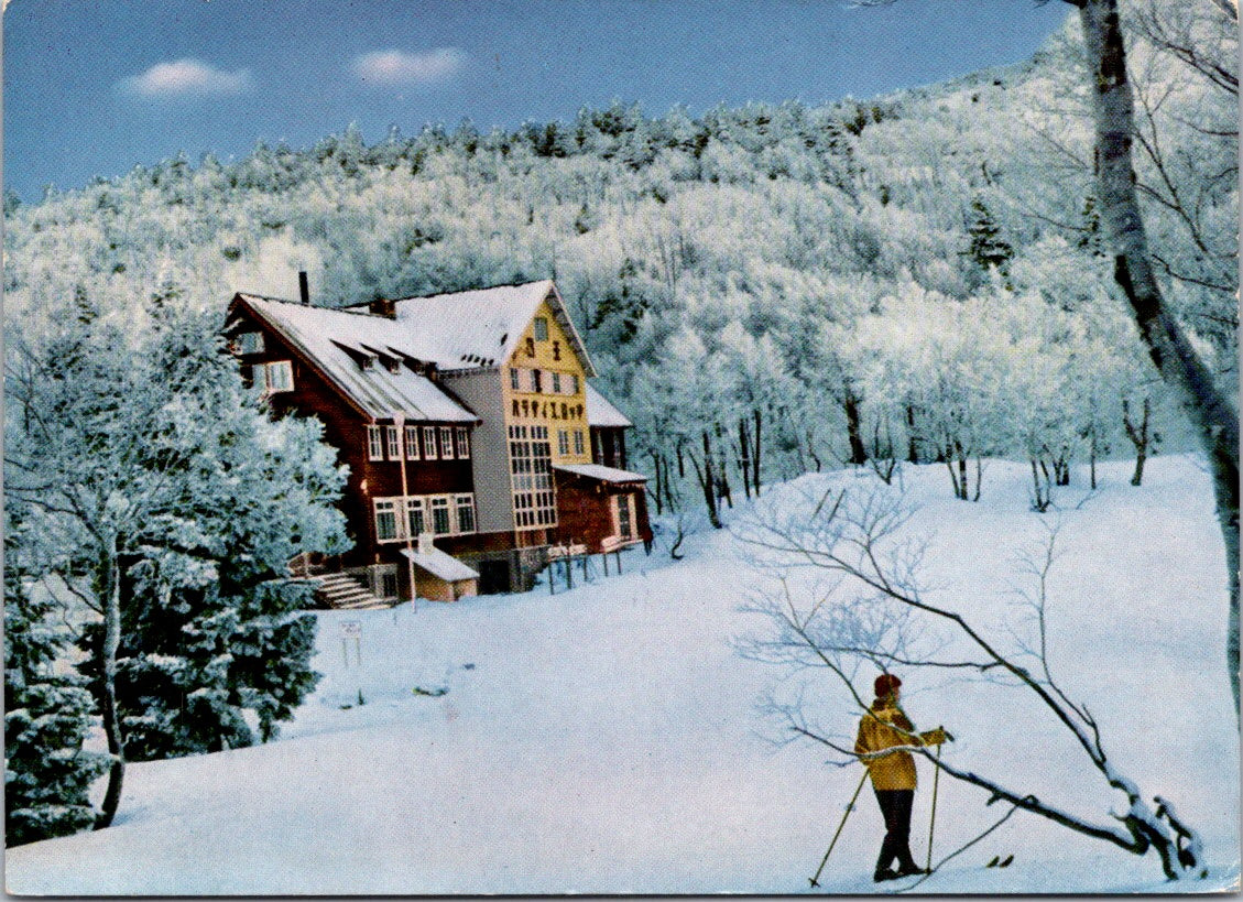 Vintage Postcard Photo Of A Beautiful Snow Scene Unposted