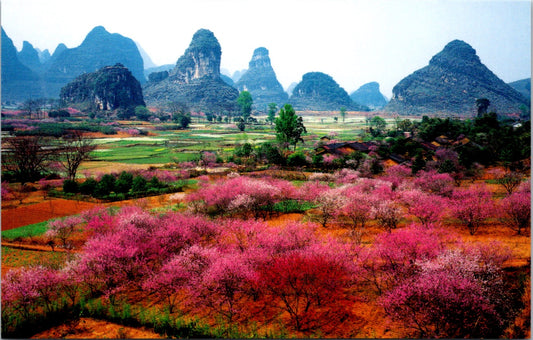 Vintage Old Postcard Springs Comes Earlier At The Mountainous China Unposted