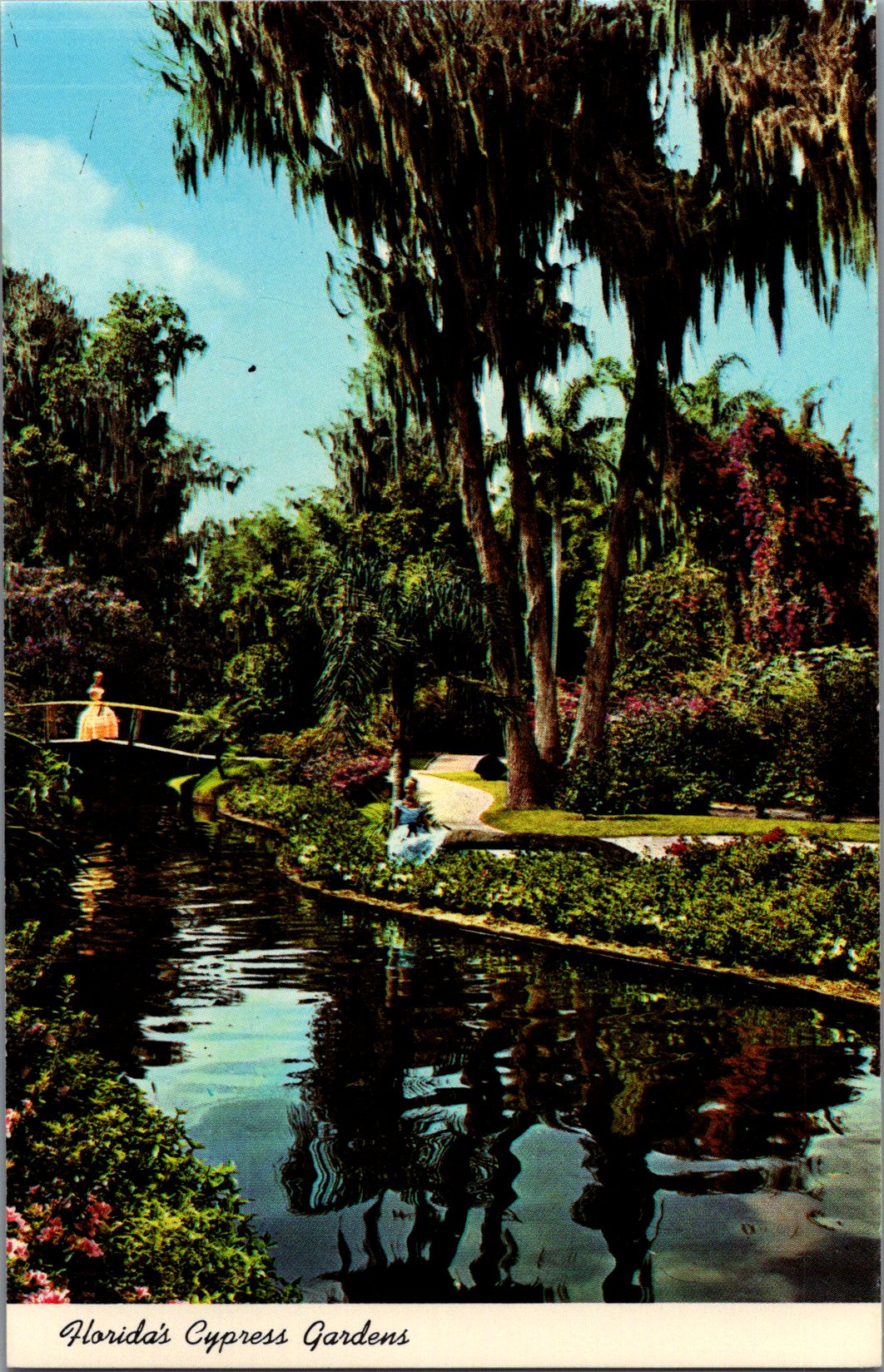 Vintage Postcard Trees Flowers At Florida Cypress Gardens United States Unposted