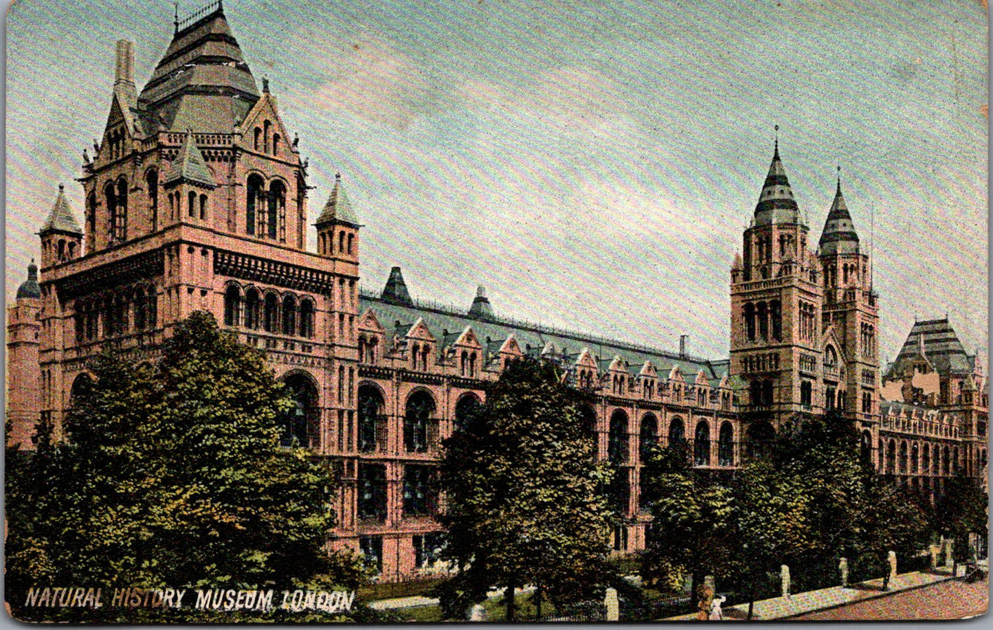 Vintage Postcard Natural History Museum London England United Kingdom Unposted