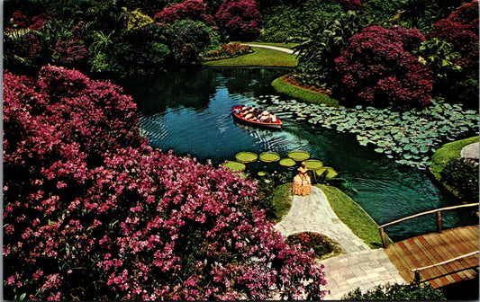 Vintage Postcard Azalea The Southland's Queen Of Flowers Cypress Gardens Florida