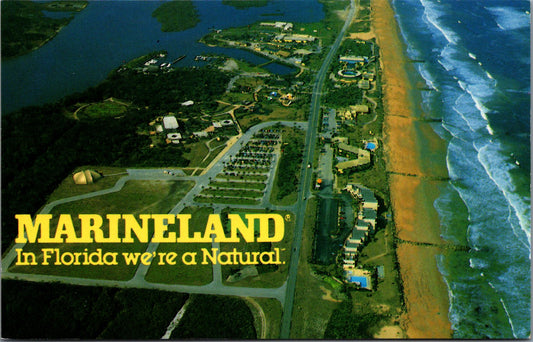 Vintage Postcard Gull's Eye View of Marineland Of Florida Resort Unposted