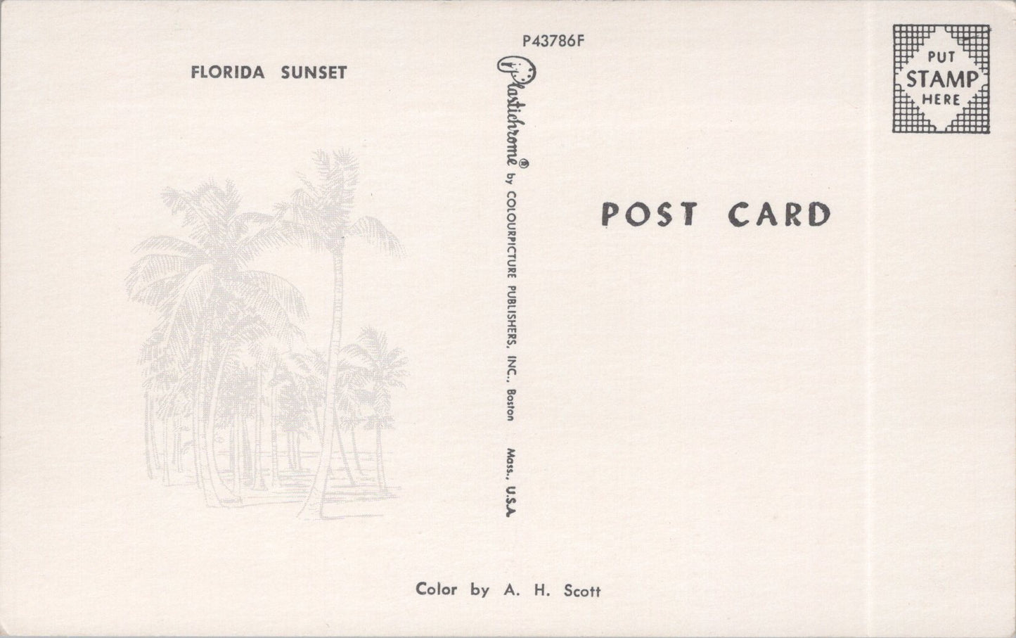 Vintage Postcard The Beautiful Florida Sunset United States Unposted