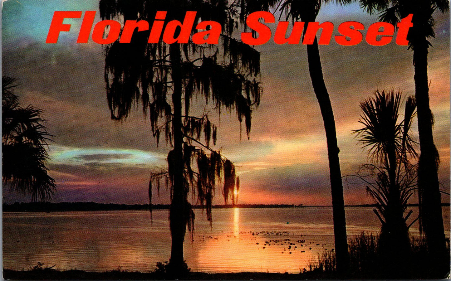 Vintage Postcard The Beautiful Florida Sunset United States Unposted