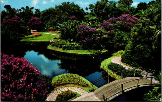 Postcard Reflection Lagoon Azaleas Tribouchina Trees Florida Cypress Garden