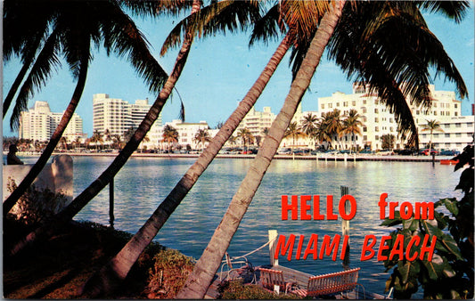 Vintage Postcard Hello From Miami Beach Florida United States Palm Trees