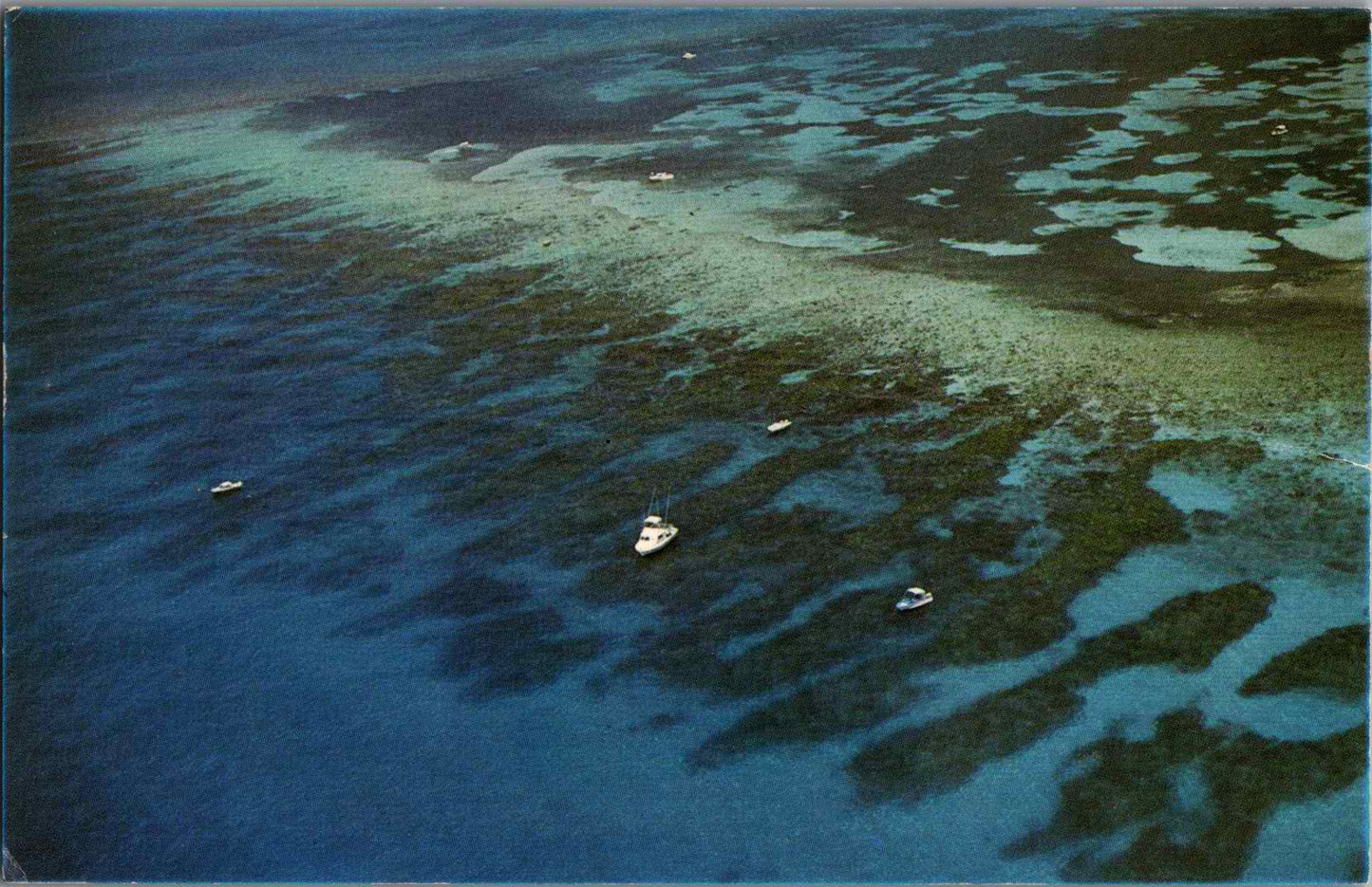 Vintage Postcard Looe Key Great Living Reef Florida United States Unposted