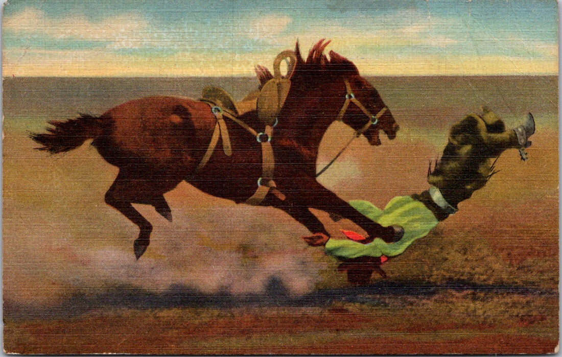 Vintage Postcard Spills And Thrills With A Bucking Broncho California Posted