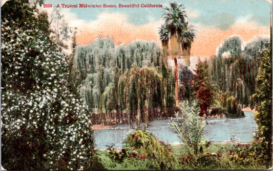 Vintage Postcard A Typical Midwinter Scene Beautiful California Posted 1915