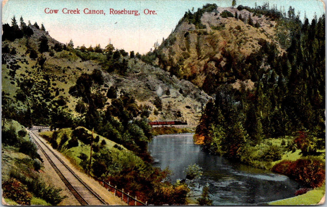 Vintage Postcard Cow Creek Canon Roseburg Oregon Posted US One Cent