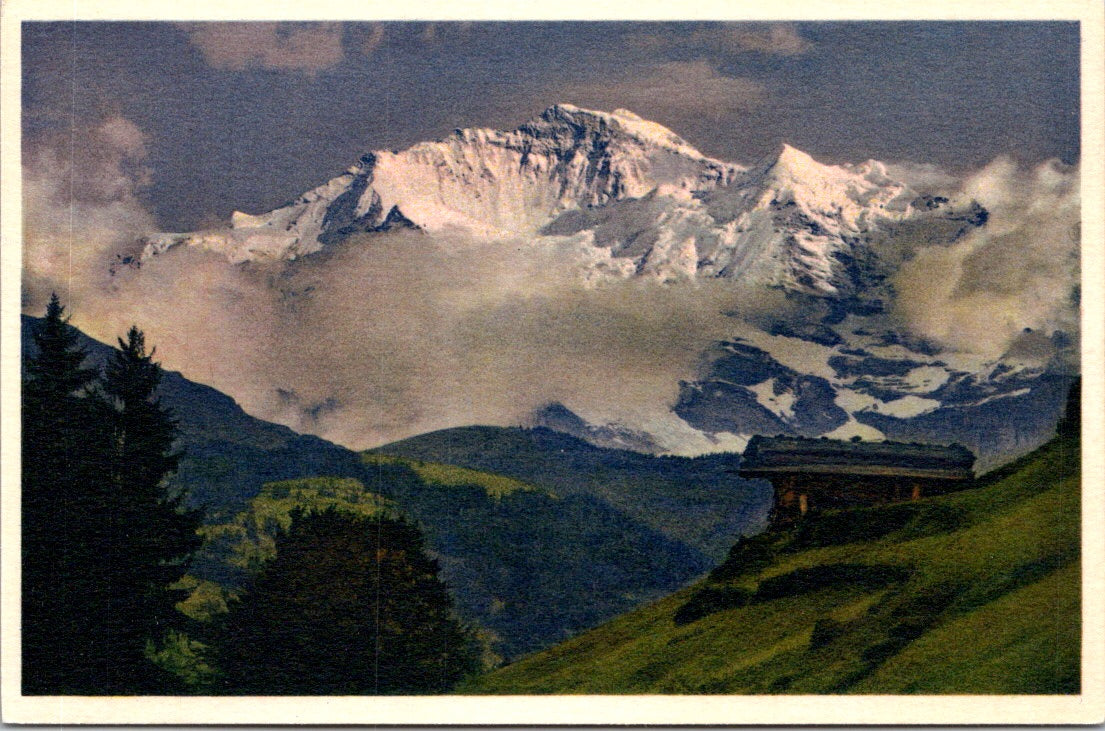 Vintage Postcard The Jungfrau In The Evening Switzerland Unposted