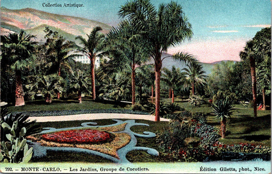 Vintage Postcard Group Of Coconut Trees Monte Carlo Monaco Unposted