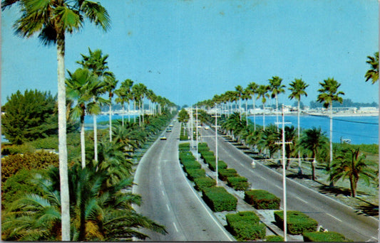 Vintage Postcard Clearwater's Magnificent Memorial Causeway Florida Unposted