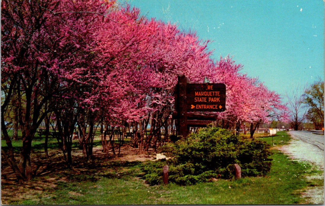 Vintage Postcard Red Bud Time Pere Marquette State Park Illinois Posted 5 Cents