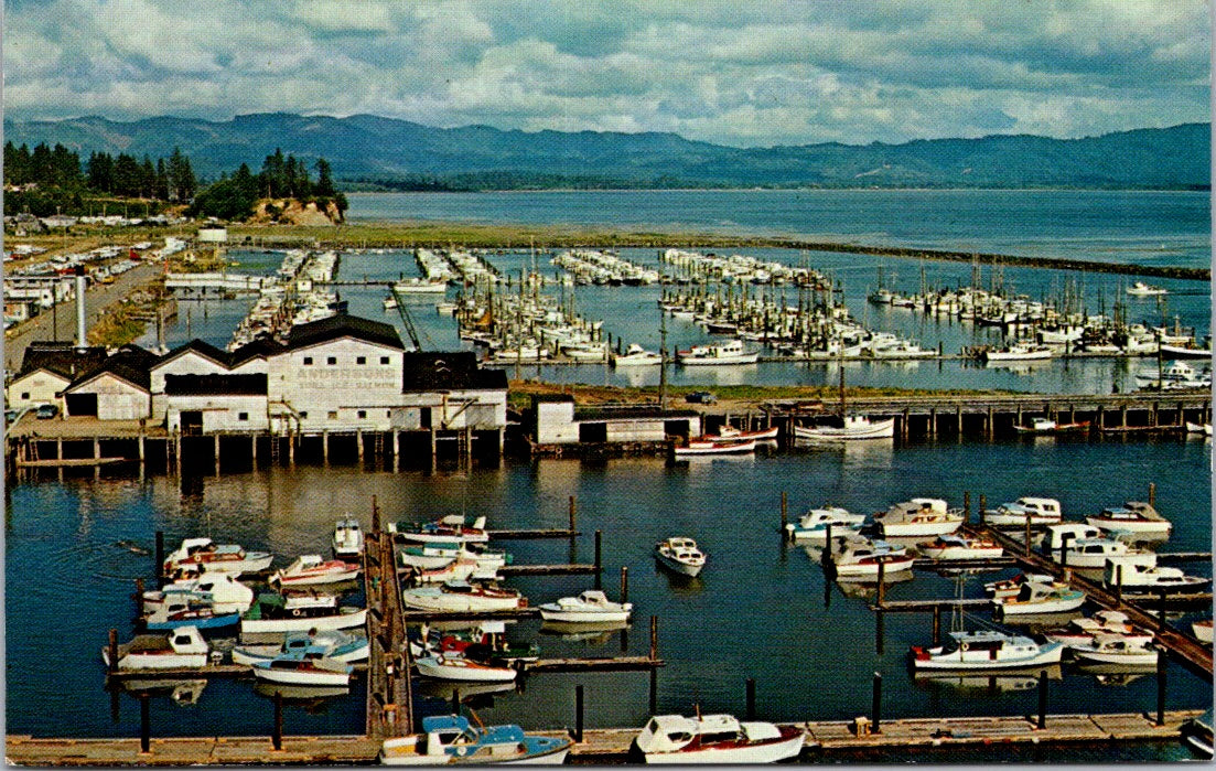 Vintage Postcard Port Basin Ilwaco Washington United States Unposted