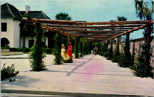 Vintage Postcard Hispanic Garden Saint Augustine Florida Unposted