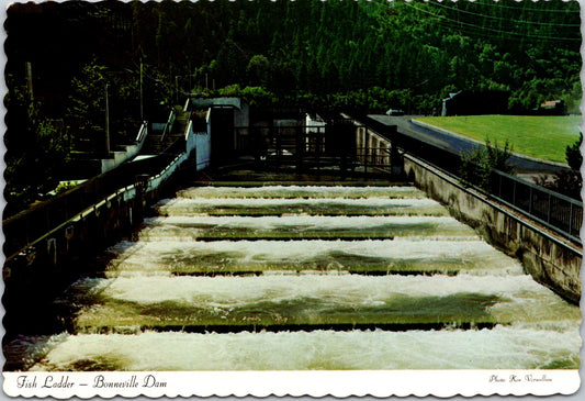 Vintage Postcard Bonneville Dam Fish Ladders Columbia River Oregon Unposted