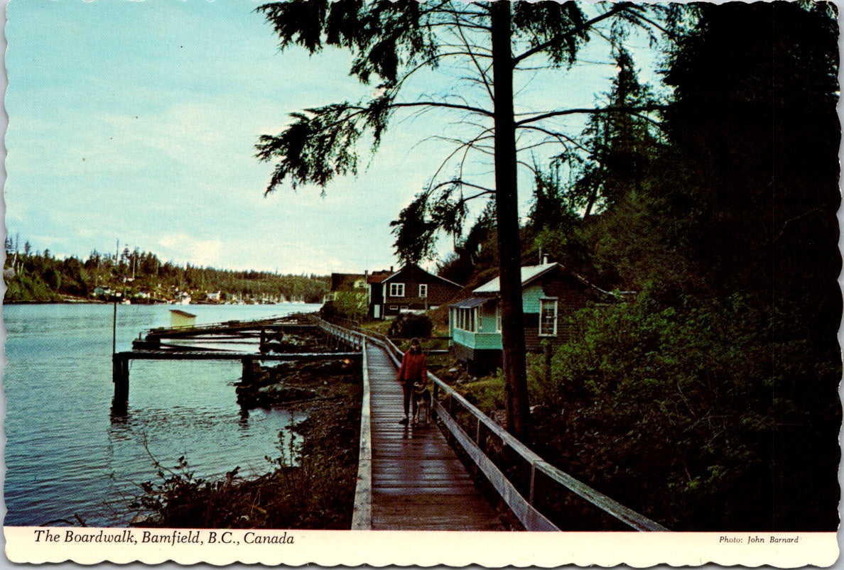 Vintage Postcard The Boardwalk Bamfield British Columbia Canada Unposted