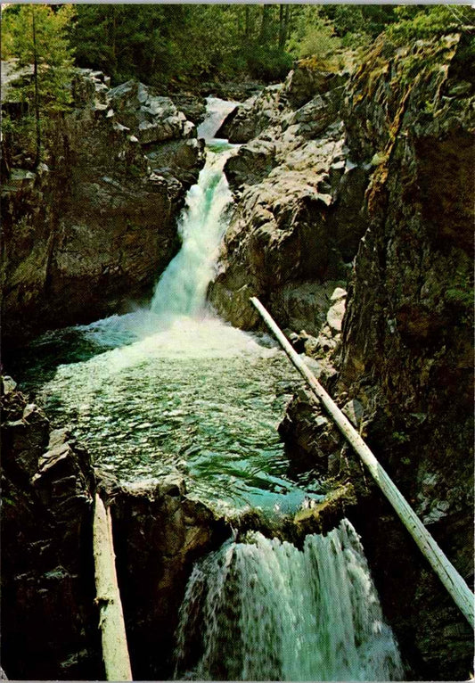 Vintage Postcard Little Qualicum Falls Provincial Park Canada Unposted