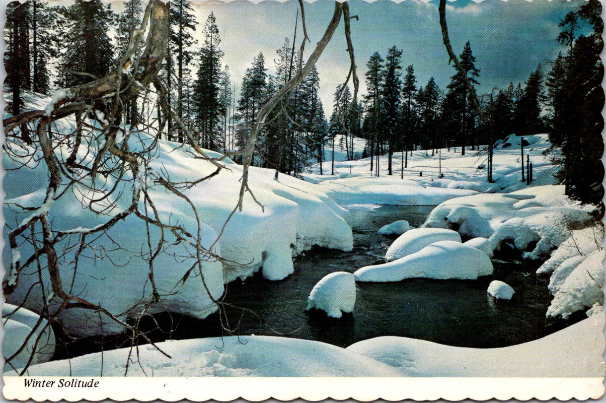 Vintage Postcard Winter Solitude Idaho Greetings Unposted