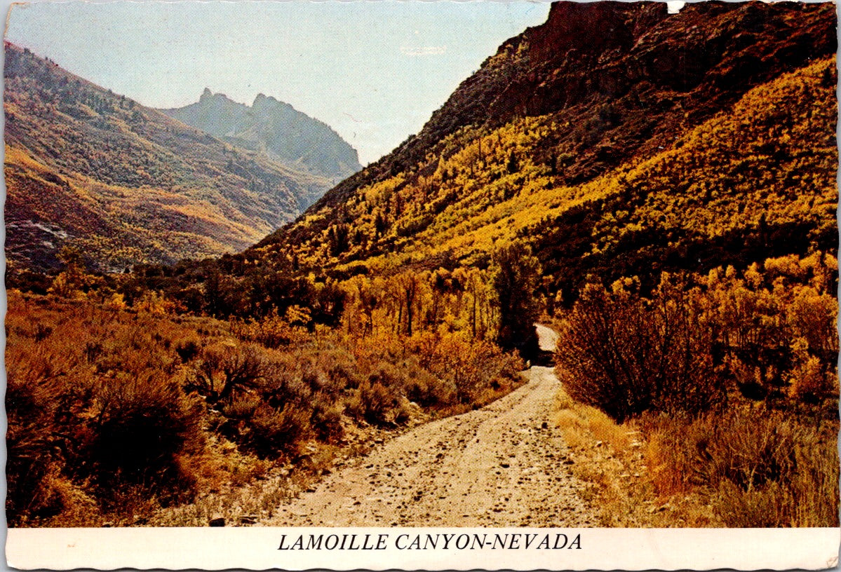 Vintage Postcard La Moille Canyon Near Elko Nevada United States Unposted