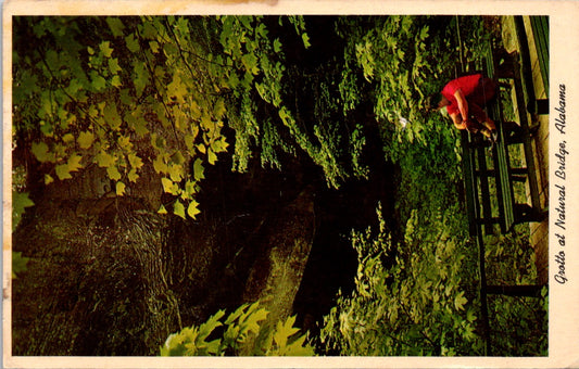 Vintage Postcard Natural Bridge Of Alabama Winston County Unposted