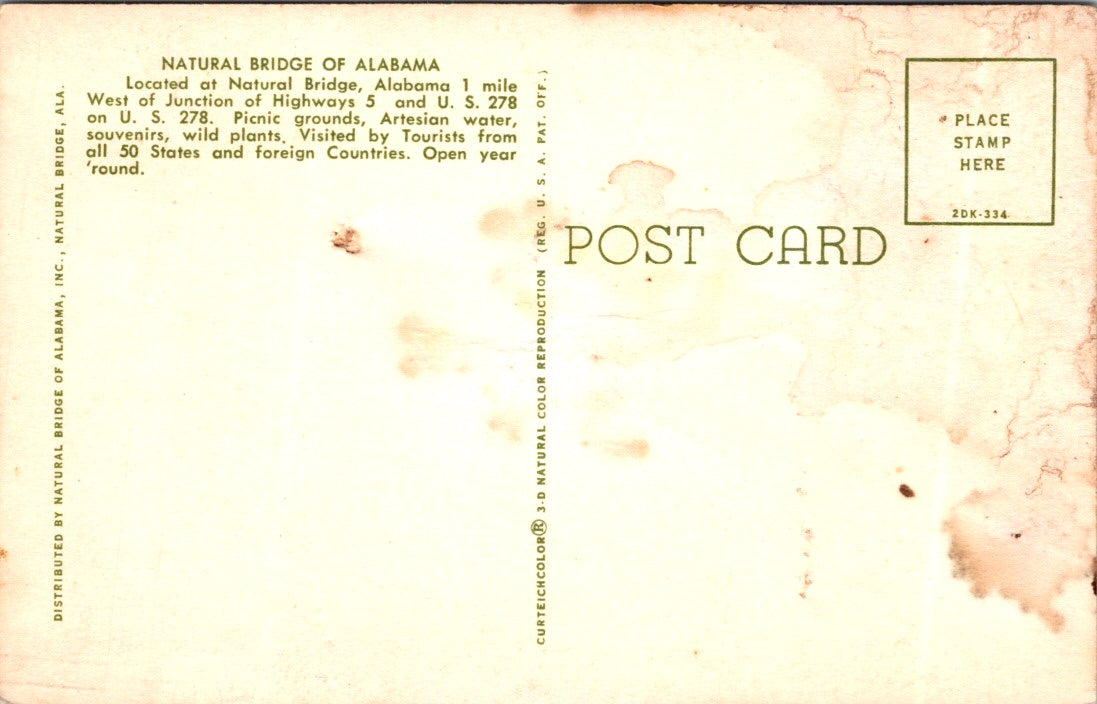 Vintage Postcard Natural Bridge Of Alabama Winston County Unposted