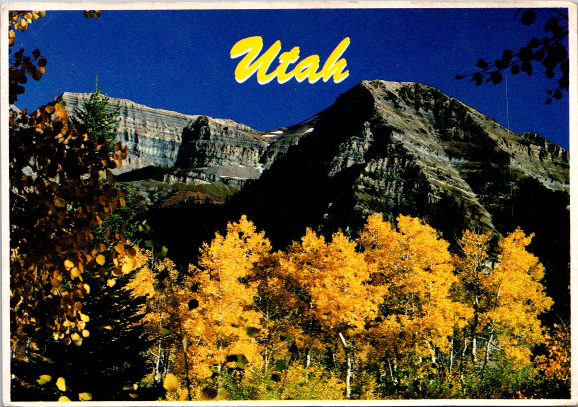 Vintage Postcard Golden Aspens Mount Timpanogos Scenic Utah Unposted