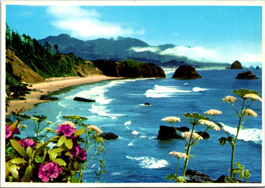 Vintage Postcard The Beautiful And Rugged Oregon Coast United States Unposted