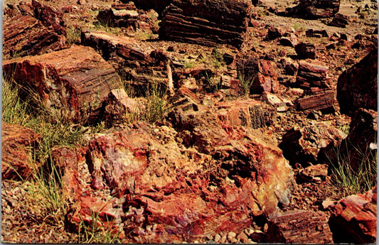 Vintage Postcard Petrified Forest National Park Northern Arizona Posted 1965