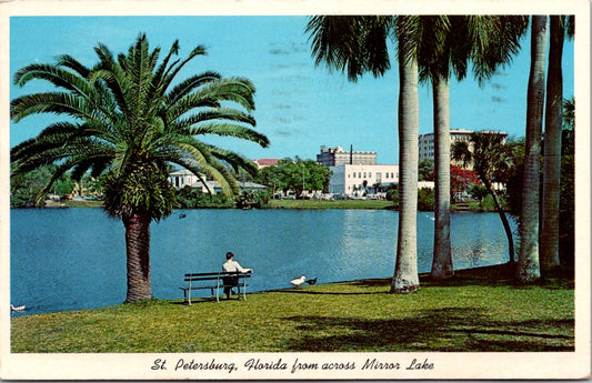 Vintage Postcard Stately Royal Palms On Mirror Saint Petersburg Florida Posted