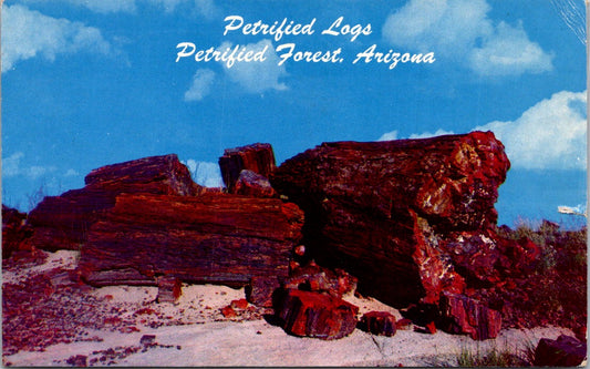 Vintage Postcard Petrified Logs Petrified Forest Arizona Posted 1965