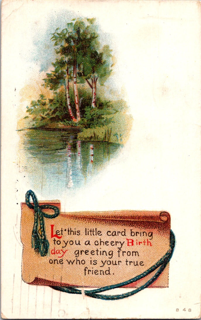 Vintage Postcard Birthday Greeting From A True Friend Posted 1913 US One Cent