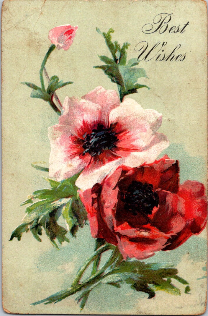 Vintage Postcard Flowers Best Wishes Greetings Posted 1908 US Postage One Cent