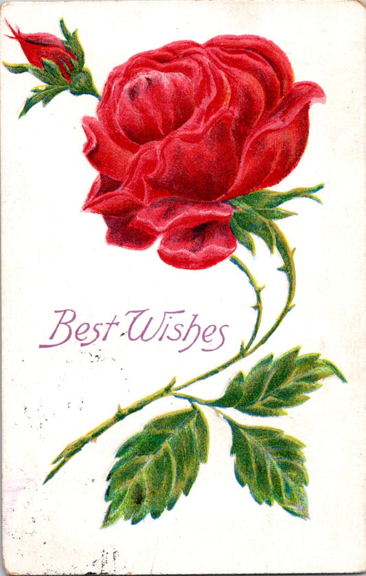 Vintage Postcard Red Roses Best Wishes Greetings Posted 1908 US Postage One Cent