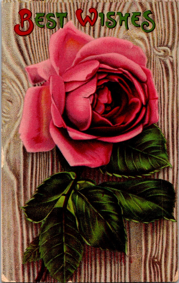 Vintage Postcard Beautiful Pink Rose Best Wishes Unposted